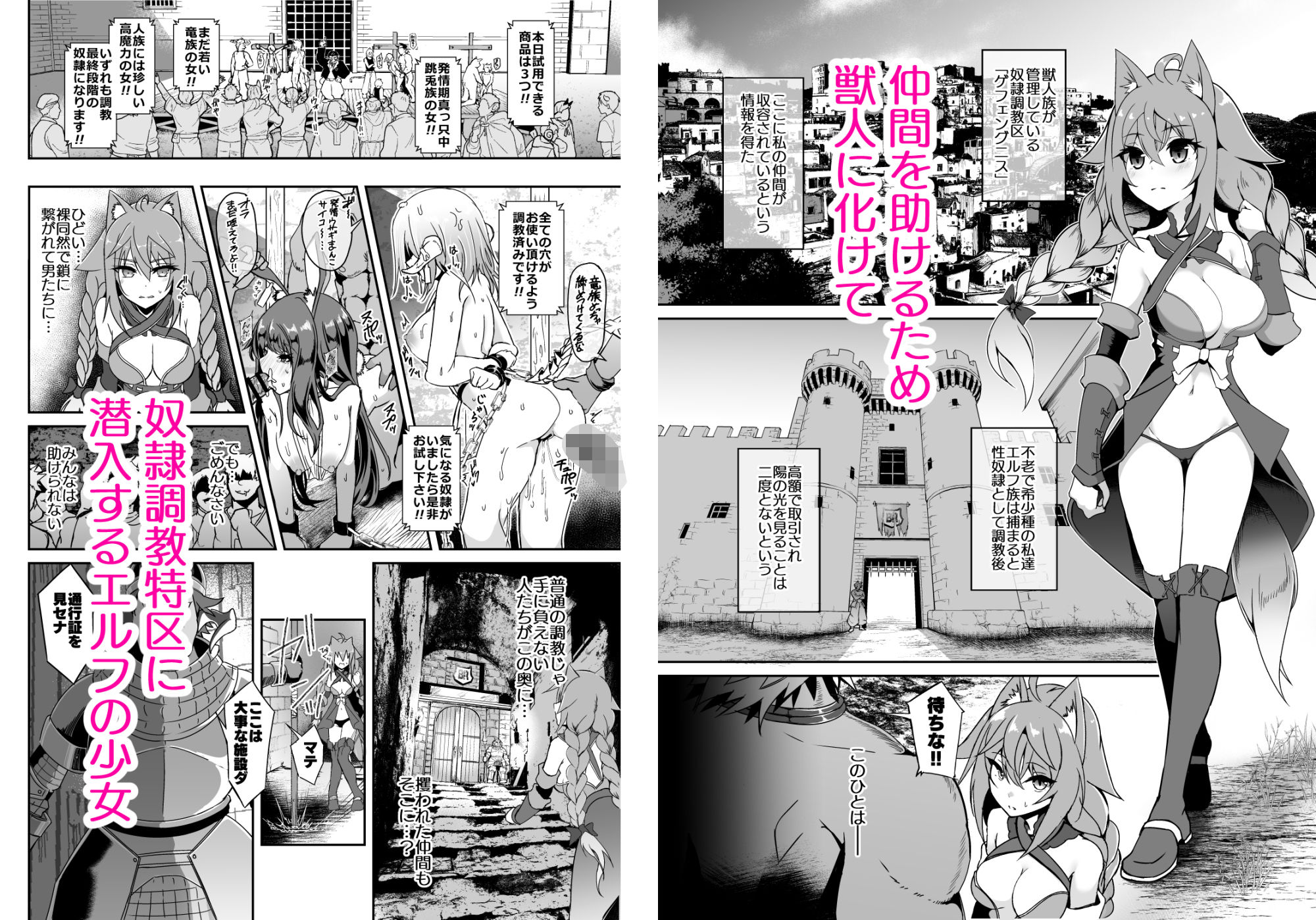 逃亡ELF11