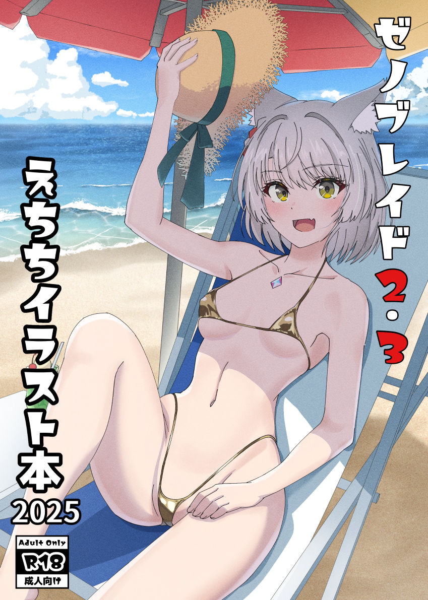 ゼノブレイド2・3えちちイラスト本2025