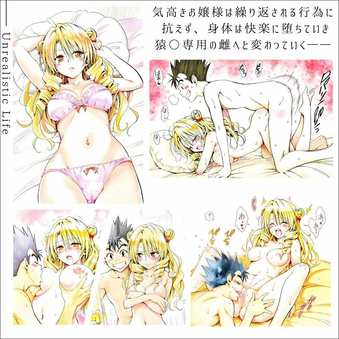高慢令嬢、格下男子に抱かれて  快楽に堕ちたお嬢様の末路  天条院沙○