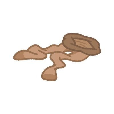 世間知らず無知お嬢様の無自覚ペット扱い＆ストッキング足コキ