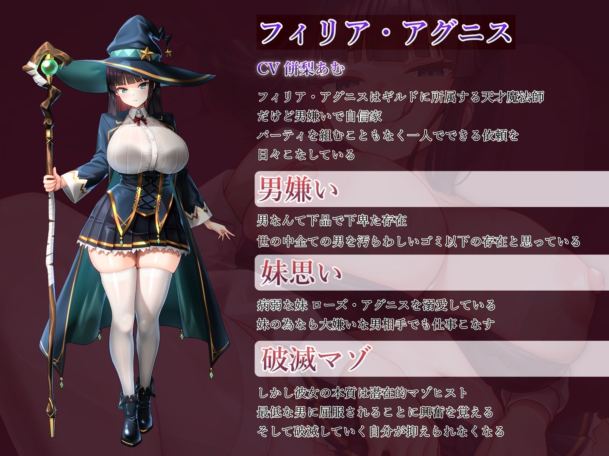 男嫌いの天才魔法師わからせ調教〜究極の淫乱破滅マゾ堕ち