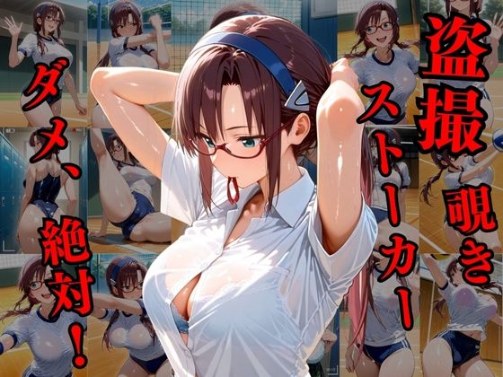 覗かれるヒロインズ〜エヴァ〇ゲリオン マリ編〜