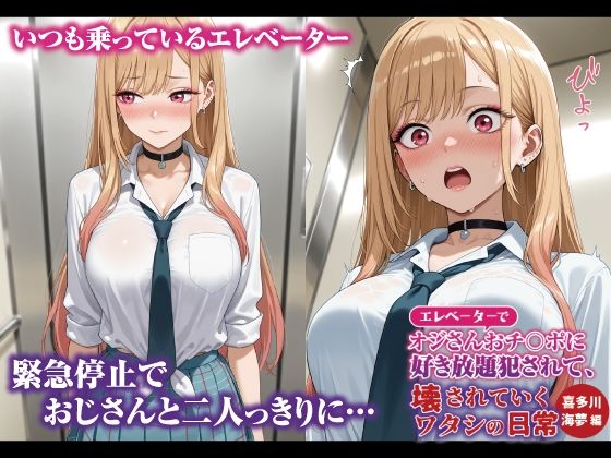 エレベーターでオジさんおチ〇ポに好き放題犯〇れて、壊されていくワタシの日常 喜多川海夢編