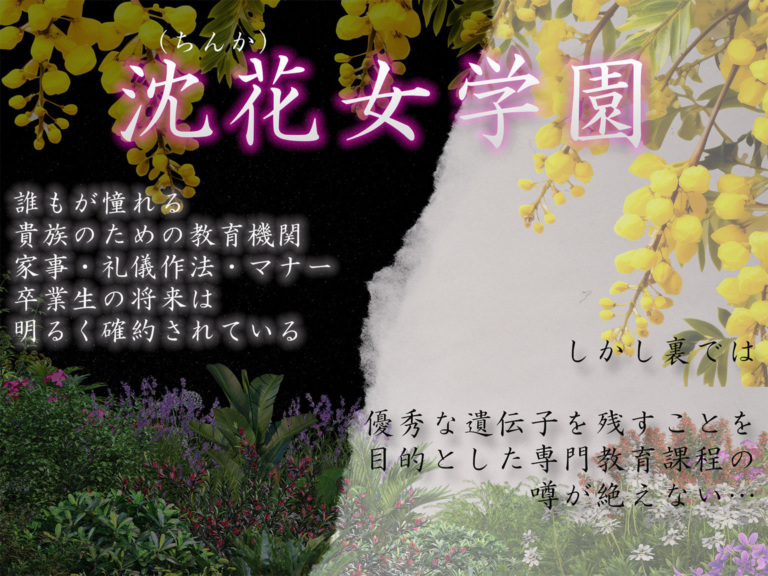 ［4K500P］孕ませご奉仕学園〜子宮でご奉仕させていただきます〜  教会子宮奉仕実地訓練  日向こはる