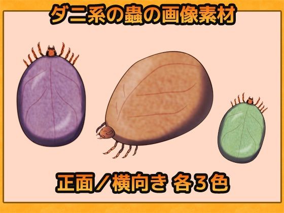 蟲（ダニ系） 画像素材〜商用OK著作権フリー