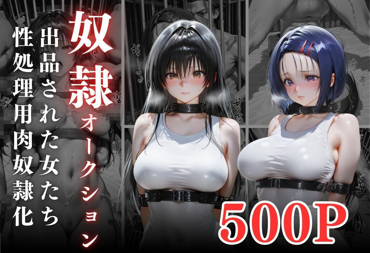 闇市場の誘惑 ―オークションにかけられたヒロインVol.1