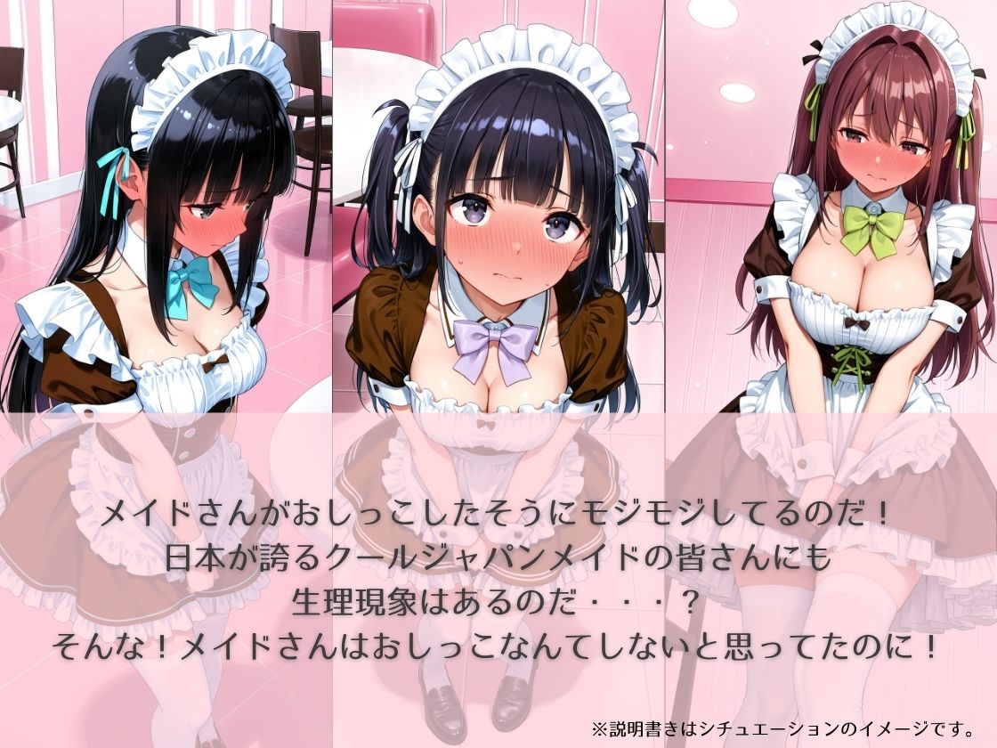 aki●a no maid no toilet〜のぞき＆突入＆催●シチュCG集〜