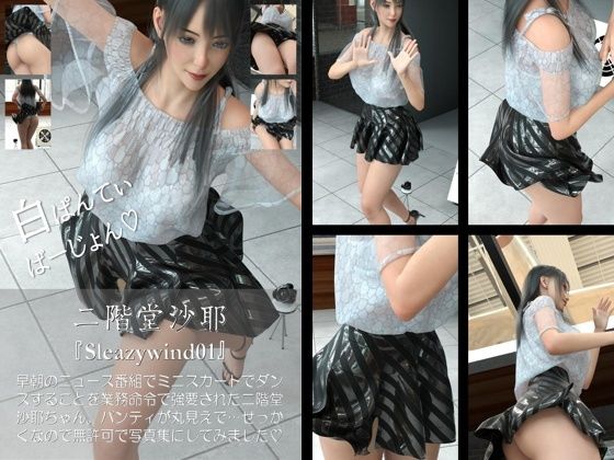 【chrl500】二階堂沙耶の「Sleazywind」シリーズがお得なセットに！10本パック総集編！