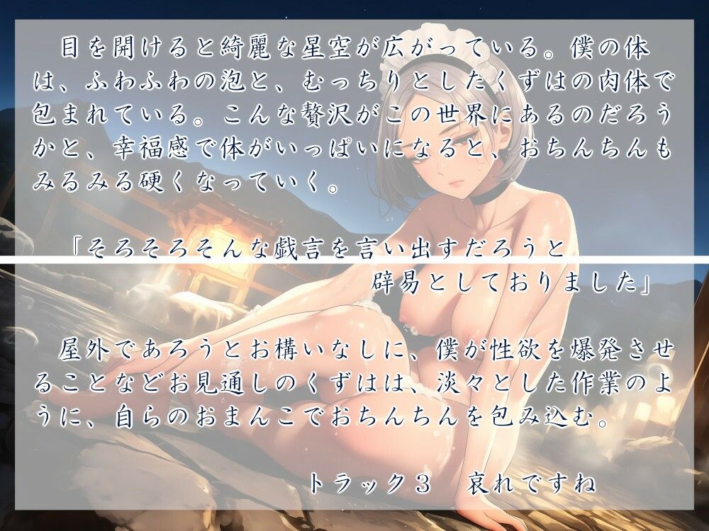 メイド様はご主人が嫌い  11月の夜
