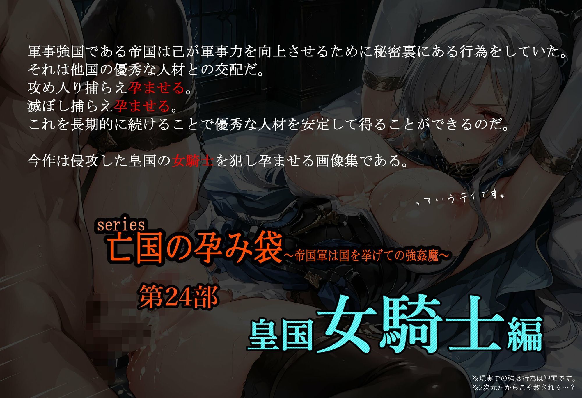 亡国の孕み袋  帝国軍は国を挙げての強●魔  第24部   皇国 女騎士編